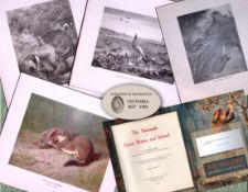 Job-Lot J.G. Millais Rare Limited-Edition Stoats & Badgers Antique Prints-20