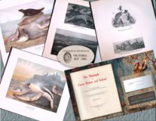 Job-Lot J.G. Millais Rare Limited-Edition Seal Family Species Antique Prints-14