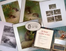 Job-Lot J.G. Millais Rare Limited-Edition The Vole Family Antique Prints-25