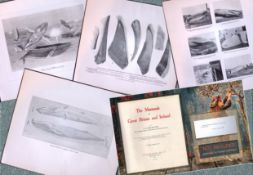 Job-Lot J.G. Millais Rare Limited-Edition Whales Family Species Antique Prints-9