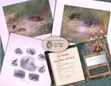 Job-Lot J.G. Millais Rare Limited-Edition Shrew Family Species Antique Prints-26