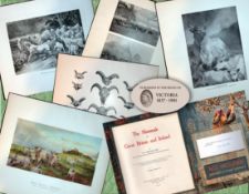 Job-Lot J.G. Millais Rare Limited-Edition Cattle & Sheep Species Antique Prints-19
