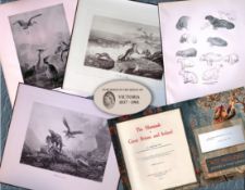 Job-Lot J.G. Millais Rare Limited-Edition Eagle ,Herons Otter, Walrus, Antique Prints-28