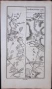Ireland Rare Antique 1777 Road Map Dungannon, Newry, Strabane-276