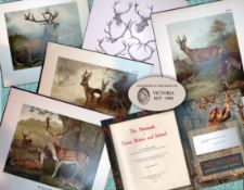 Job-Lot J.G. Millais Rare Limited-Edition Deer Family Species Antique Prints-18