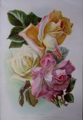 Selection of Tea Roses Flowers Antique Edwardian Robert Thompson Print-17