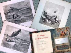 Job-Lot J.G. Millais Rare Limited-Edition The Whale Family Species Antique Prints-7