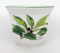 Royal Worcester Herbs Series Pot – Sage (Salvia Officinalis) – 1990