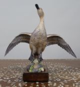 Royal Worcester ‘American Pintail’ by Ronald Van Ruyckevelt, 1970