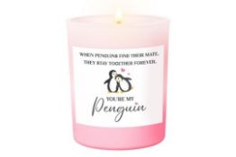 Penguin Anniversary Candle Gift For Couples L6b