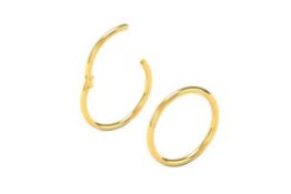 10 x Gold 2 PCS - 20G (0.8mm) 7mm Hinged Snug Fit Nose Rings L14a