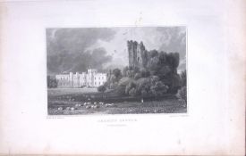 Wales-Cardiff Castle Antique 166-Year-Old Steel Engraving-3