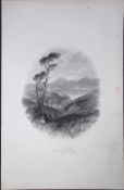 Ireland View of Bantry Bay Cork Antique 183 Years-Old Steel-Engraving-6.