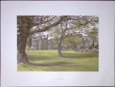 Clyne Park Swansea Wales 160 Years-Old Gilt-Edge Coloured Antique Book Plate-10