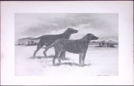 Retrievers Flat or Wavy Coated Antique Book Plate Rawdon Lee Modern Dogs 1893-40