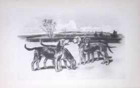 Kerry Beagles Antique Book Plate Rawdon Lee Modern Dogs 1893-27