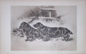 Pair Black Field Spaniels Antique Book Plate Rawdon Lee Modern Dogs 1906-64