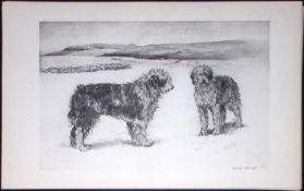 Old English Sheepdogs Antique Book Plate Rawdon Lee Modern Dogs 1894-8
