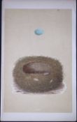 Rev Morris Stonechat Bird Nest & Egg Antique Woodblock Engraving-55
