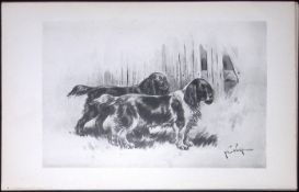 Cocker Spaniels Antique Book Plate Rawdon Lee Modern Dogs 1893-45