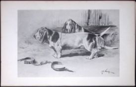 Basset Hounds Antique Book Plate Rawdon Lee Modern Dogs 1893-46