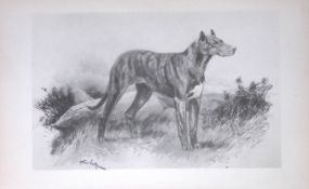 Great Dane Antique Book Plate Rawdon Lee Modern Dogs 1893-33