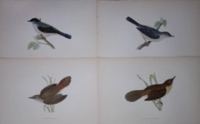 Job-Lot Rev Morris History of British Birds 130 Yrs-Old Antique Engravings-7