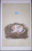 Rev Morris Redstart Bird Nest & Egg Antique Woodblock Engraving-40