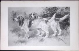 Beagles Antique Book Plate Rawdon Lee Modern Dogs 1893-26
