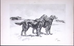 Pair Curly Coated Retrievers Antique Book Plate Rawdon Lee Modern Dogs-40