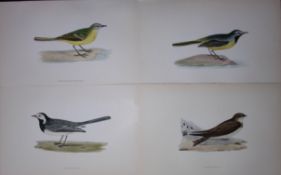 Job-Lot Rev Morris History of British Birds 130 Yrs-Old Antique Engravings-3