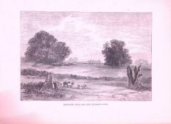 Bosworth Field Country Towns of Britain 145-Year-Old Woodcut Illustration-14