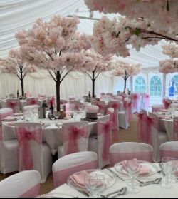 Complete Wedding & Event Business Package – Blossom Trees, Dance Floor, Magic Mirror, Décor & Mor...