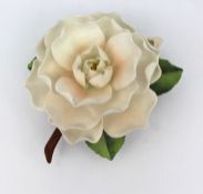 Royal Worcester Flower Camellia