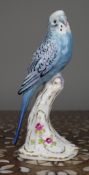 Royal Worcester BirdBudgerigar 2663 Birds on Stumps