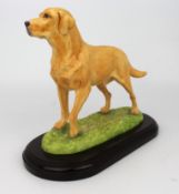 Porcelain Golden Retriever Dog Figure on Wooden Plinth