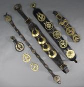 Collection of Antique & Vintage Horse Harnesses Brasses