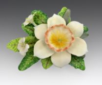 Royal Worcester Flower Narcissus