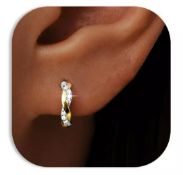 10 x Hoop Earrings