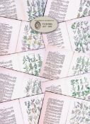Job-Lot British Wild-Flowers John Sowerby Antique Engraved Prints With Hand Colouring-3