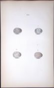 Pied Wagtail William Hewitson Antique Nests & Eggs of British Birds Print-72