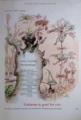 Guinness The Ornithologist 1960 Original 66 Years-Old Print -GE 3270.