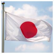 50 x 5ft x 3ft Japan Flags Brand New and Boxed World Cup 2026
