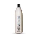 Hair Passion Accelerator Booster 02X - 1 ltr