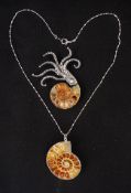 Ammonite brooch & necklace set