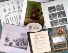 Job-Lot J.G. Millais Rare Limited-Edition The Vole Family Antique Prints-24