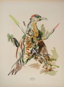Oskar Kokoschka* (Pöchlarn 1886 - 1980 Montreux)