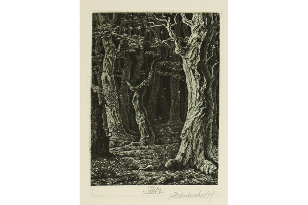 Fritz Schwimbeck* (München 1889 - 1977 Friedberg) - Bild 12 aus 13