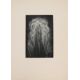 Fritz Schwimbeck* (München 1889 - 1977 Friedberg) - Bild 13 aus 19