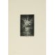 Fritz Schwimbeck* (München 1889 - 1977 Friedberg) - Bild 9 aus 13
